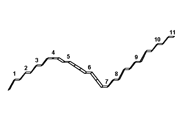 Roller coaster investment