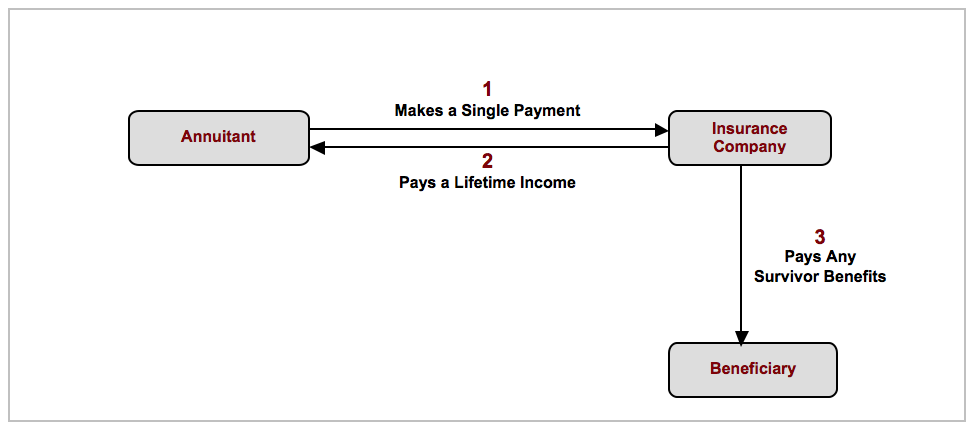 Income Annuity Solution